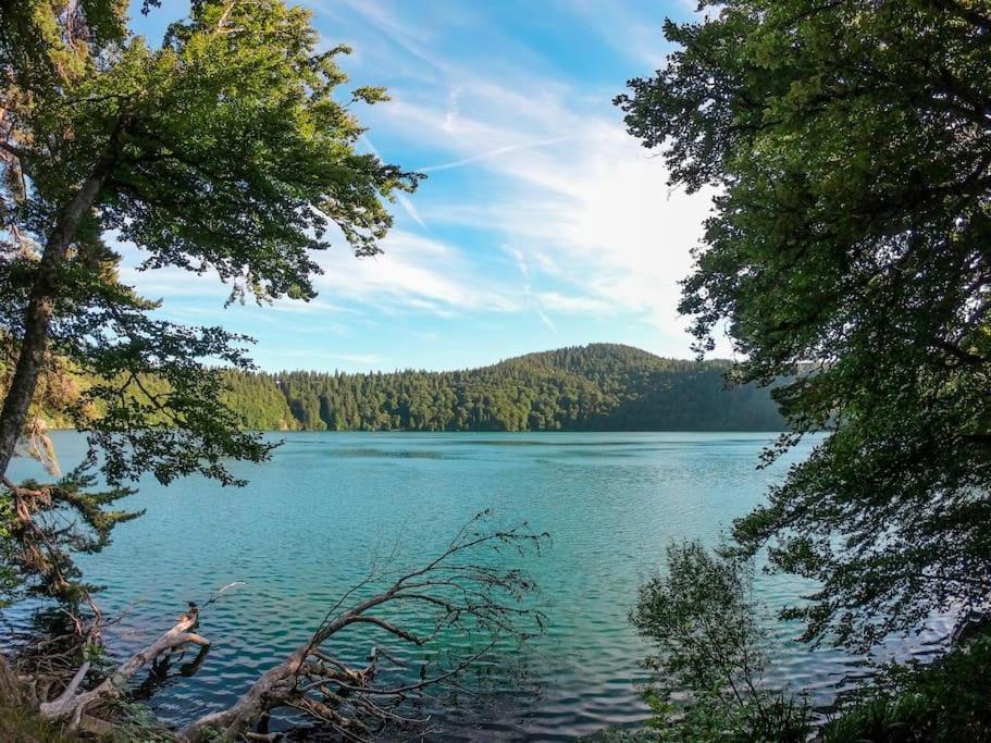 Chalet Le 77 - Nature Proche S.besse Egliseneuve-d'Entraigues